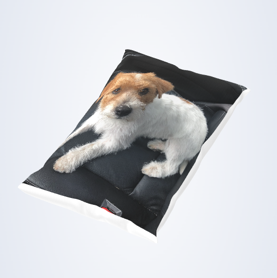 Photo Pillow