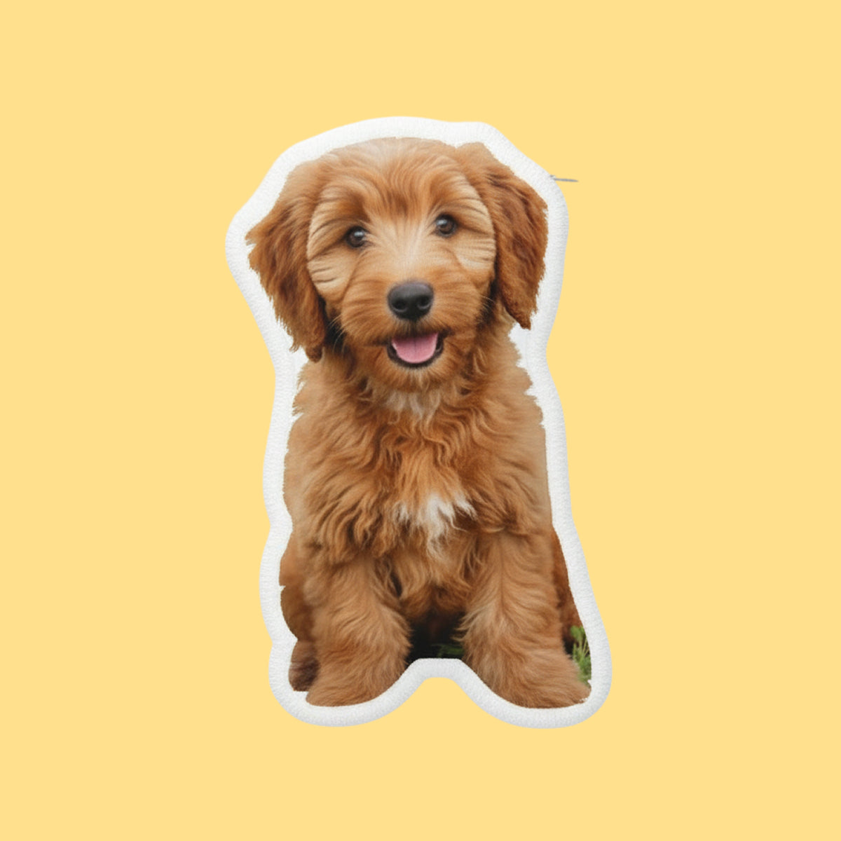 Custom Shape Pillow