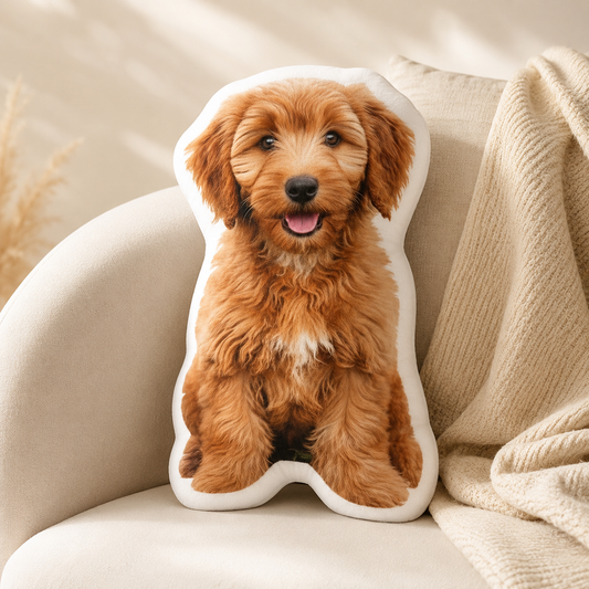 Custom Shape Pillow